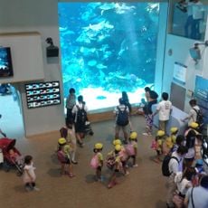 Port of Nagoya Public Aquarium