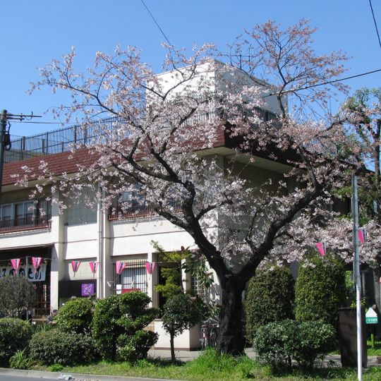 Kototoi Dango