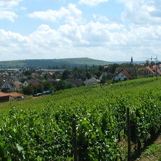 Langenlonsheim