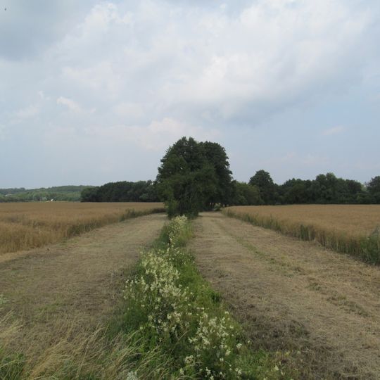 Nördliches Weser- und Wiehengebirgsvorland