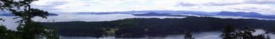 Panoramic View 1