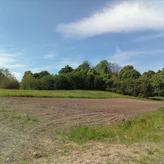 Gaigaliai hillfort, Utena