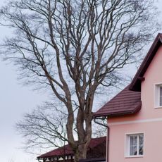 Kleny v Kostelní Bříze