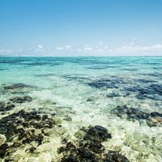 Blue Bay Marine Park