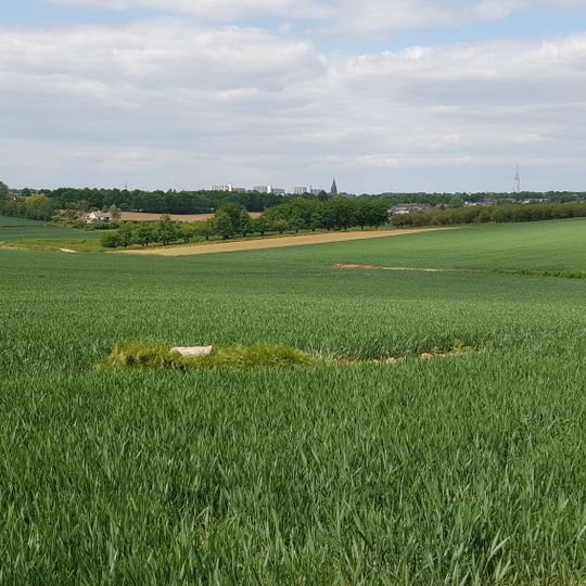 Pierre de frontière Belgique-Pays-Bas no. 75a