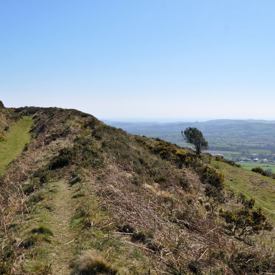 Pilsdon Pen hillfort and associated remains
