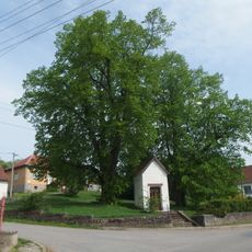 Lípy u Bzovské kapličky
