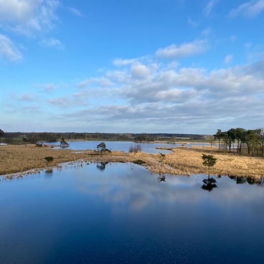 Natuurreservaat Turnhouts Vennengebied