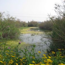 Zeita swamp nature reserve