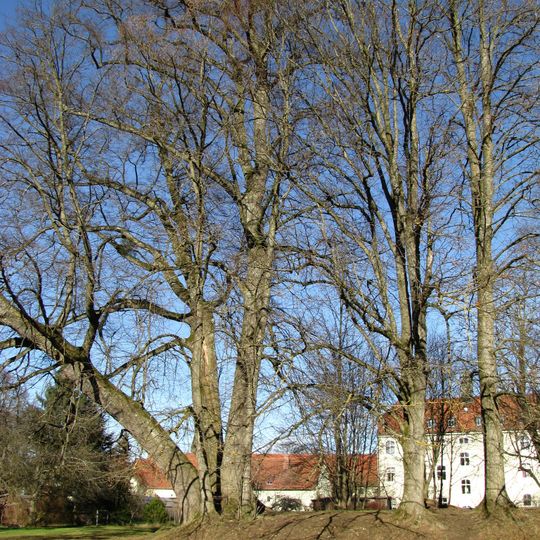 Burgstall Warnberg