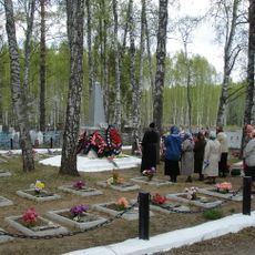 Братское кладбище советских воинов, умерших от ран в 1941-1945 гг. (Степаново)