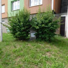 Kříž v Mlýnské ulici ve Žluticích