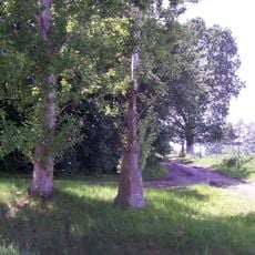 Kříž u Starého Sedla u rozcestí