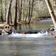 Tuscarora State Forest