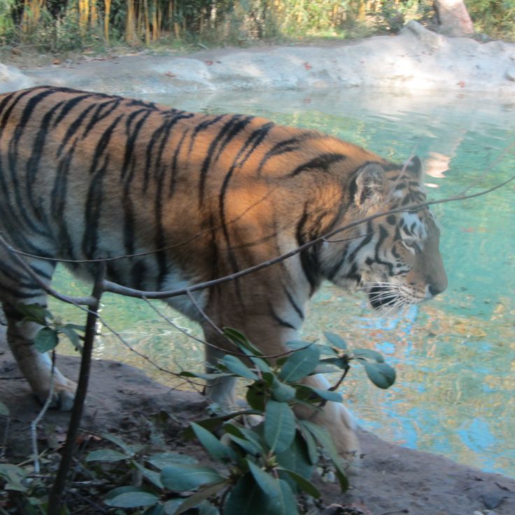 Natura Viva Park