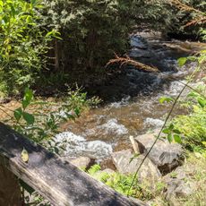 Taggerty River Lookout