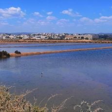 Tavira's Salt pans