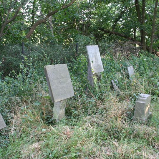 Calvinistic cemetery in Orzeszkowo