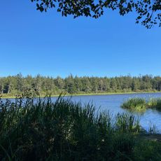 Loomis Lake State Park