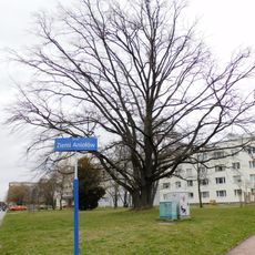 Skwer Ziemi Aniołów