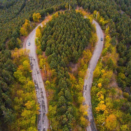 Foreste miste Caspico-ircaniche