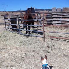 Rock n Tomahawk Ranch