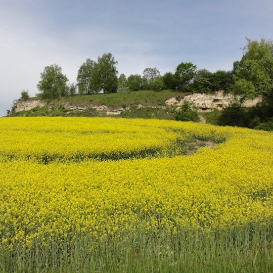 Coteaux Du Chemin Des Dames