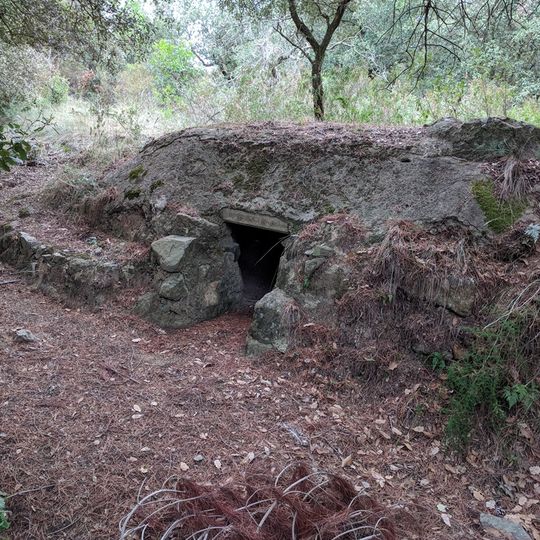 Forn del Turó del Bon Jesús