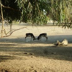 Parque nacional de Lal Suhanra