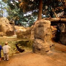 Wonders of Wildlife Museum & Aquarium