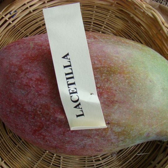 Jardín Botánico Lancetilla