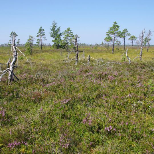 Área de Conservação da Paisagem de Läänemaa Suursoo