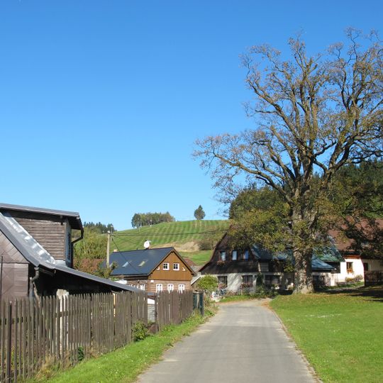 Klen v Albrechticích