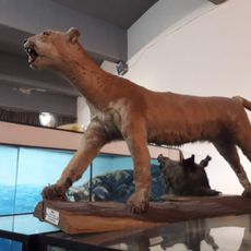 Museo Municipal de Historia Natural de San Rafael