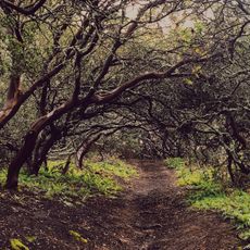 Sobrante Ridge Regional Park