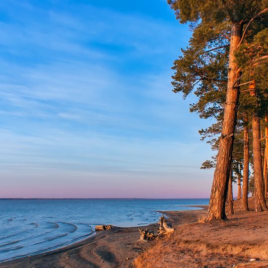 Yegoryevsky District, Altai Krai