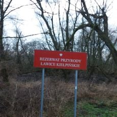 Nature reserve Ławice Kiełpińskie