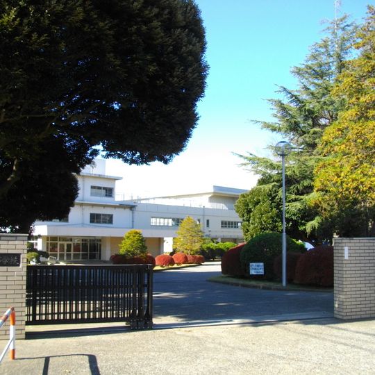 Yakuendai High School
