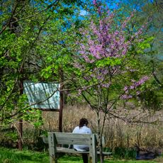 National Capital Parks-East