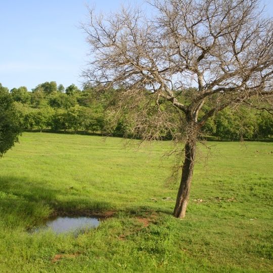 Bawku Municipal District