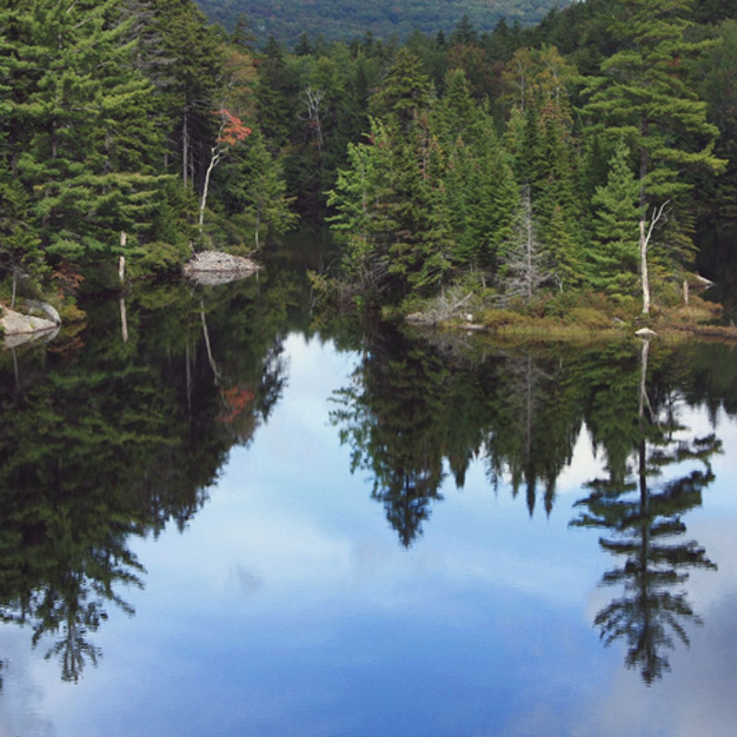 For t Nationale De Green Mountain For t Nationale Dans Le Vermont For t Nationale De Green Mountain For t Nationale Dans Le Vermont