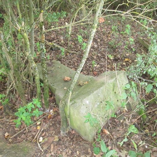 Kříž nad Kurojedy