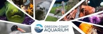 Oregon Coast Aquarium Profile Cover