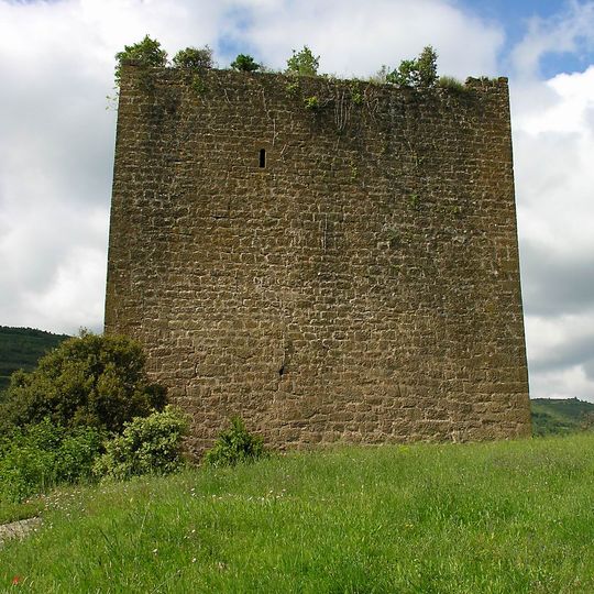 Castell de Riner