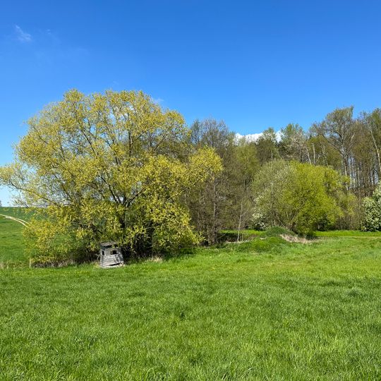 Sandgrubentümpel am Weißbach