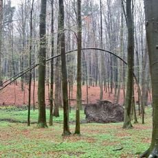 Nature reserve Wydrze