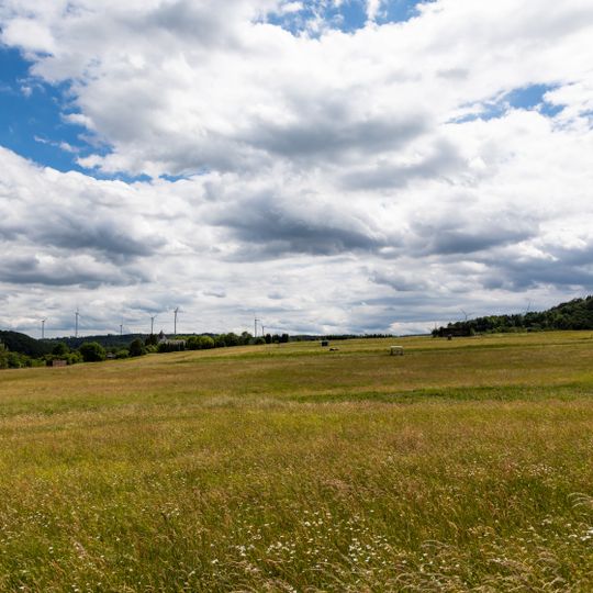 Struthwiesen bei Großaltenstädten