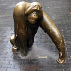 Orang-Utan