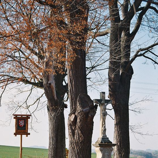 Zbraslavské lípy a javory