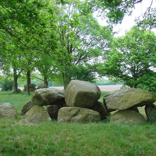 Terrein met de hunebedden D28 en D29